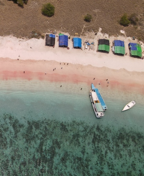 Pantai Pink