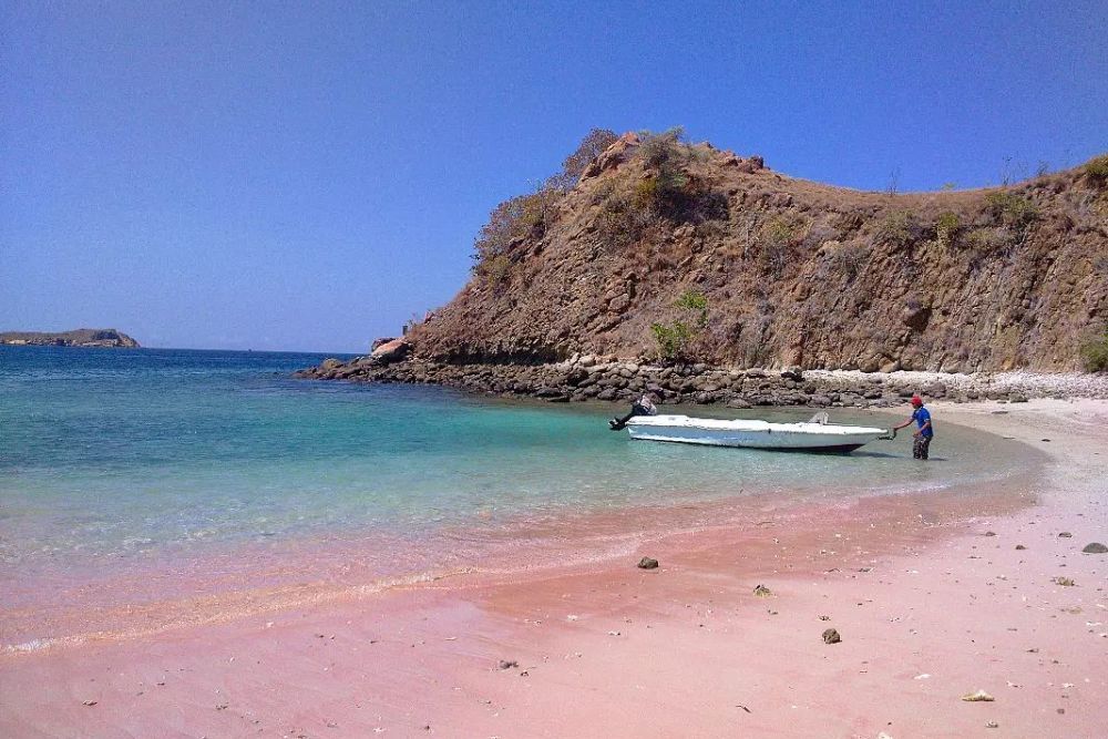 Pink Beach Labuan Bajo