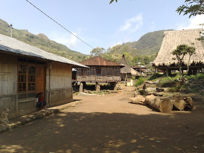 Kampung Adat Puutuga