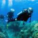 Scuba Diving - Photo by Hotel